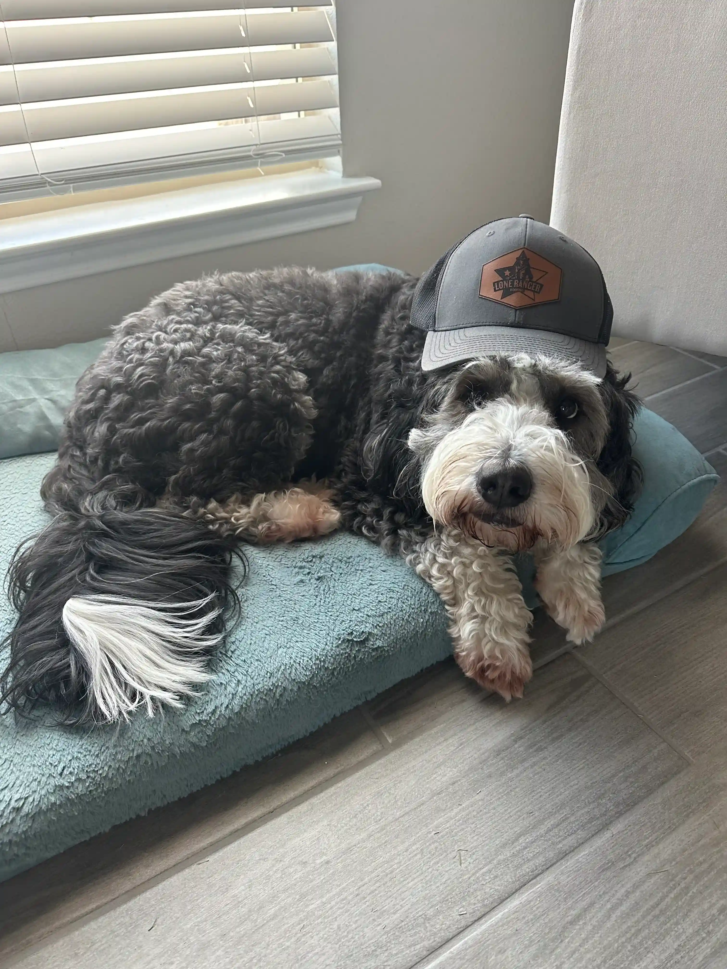 Paid lead generation ad results for a home service contractor